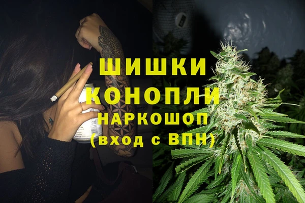 шишки Баксан