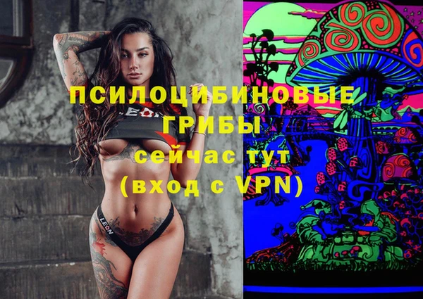 шишки Баксан
